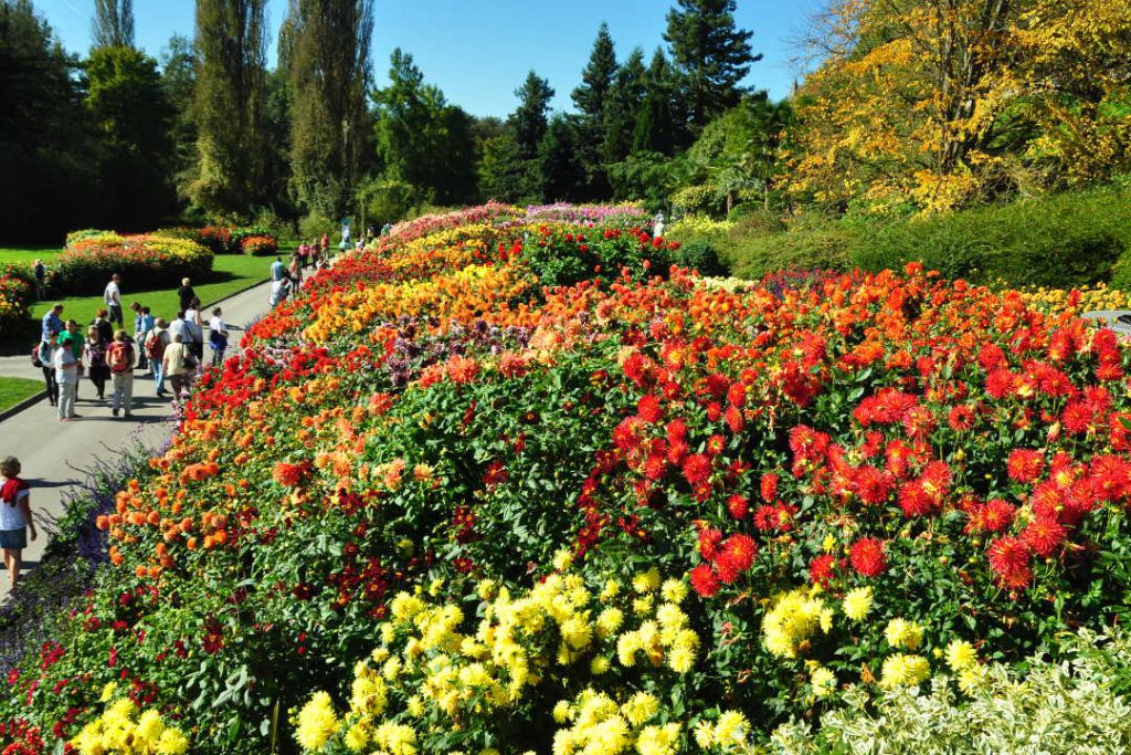 ilha mainau