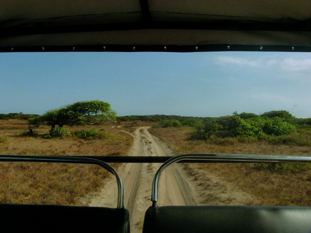 CAMINHO DE AREIA LENÇOIS 